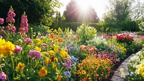 I tried the '70/30 rule' to bring my yard back to life this summer — and it's taken away a lot of stress