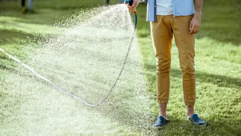 Gardening experts reveal why you should stop watering your lawn every day this summer