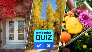  Love Fall color spotting? Test your knowledge of this season's trees, plants and blooms in our photo quiz 