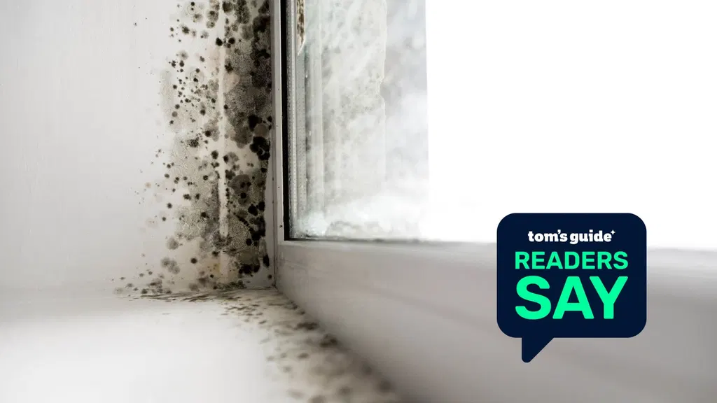 Battling bathroom mold? Turns out 73% of Tom's Guide readers are too — here are my top fixes this fall