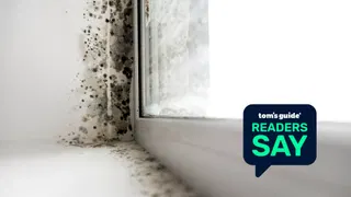  Battling bathroom mold? Turns out 73% of Tom's Guide readers are too — here are my top fixes this fall 