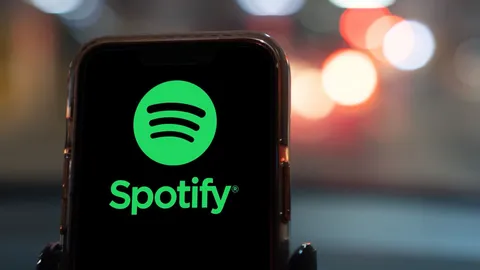 Spotify's latest update makes organizing your music easier — plus improved offline downloads