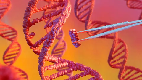  6-year-old in China dies after experimental treatment, investigation finds, raising questions about the country's gene therapy regulations 