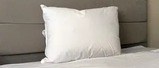 Is the Downright Mackenza WD the ultimate cozy, plump hotel-style pillow? I tested it to find out 