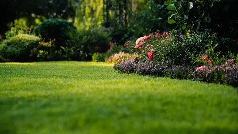  Stop buying expensive fertilizer — achieve a lush, green lawn with this cheap household staple 