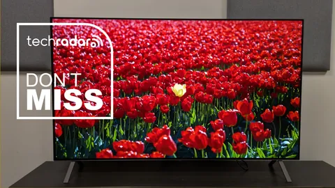  No need to wait for Memorial Day — you can get a 55-inch LG OLED TV for an incredible price of $799.99 right now 