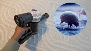  Beat the seasonal dust mite surge — use this 2-inch mattress cleaning trick to remove their food fast 