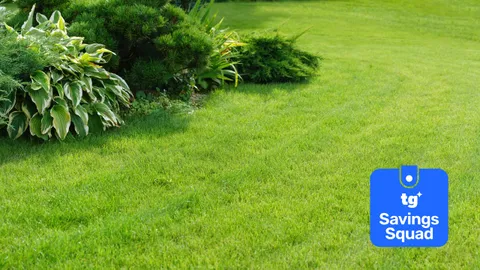 Gardeners urged not to make this mistake with their grass clippings: Here’s why you shouldn’t throw them away