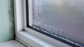  Think your home is safe from mold? These routine fall habits could be inviting it inside 