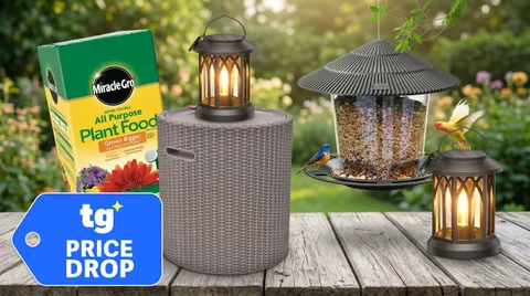 Amazon Memorial Day patio and garden scores under $50 — 15 affordable finds to transform your outdoor space