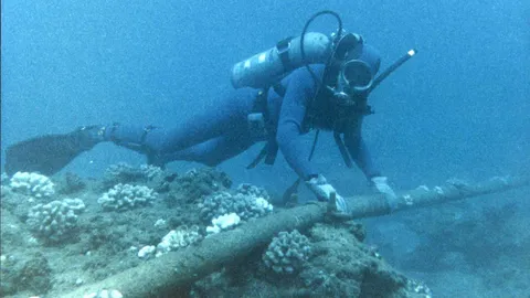 Can you really rent out the sea bed? Oregon set to start charging service providers for undersea cables within three miles of its coastline