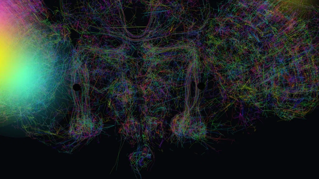 Google's simulated fruit fly brain 'mines Bitcoin' in web browser proof of concept — FutureBit says real organic neuron miner could have '10x the efficiency of the best silicon 3nm ASICs'
