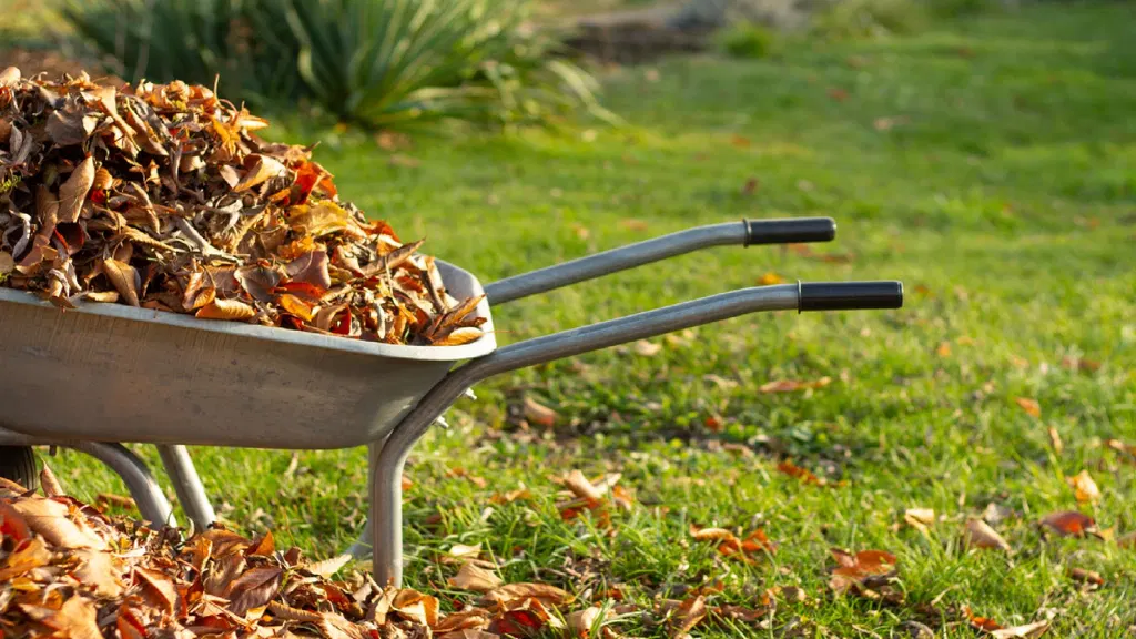 3 expert-approved tasks you must do in October to get your yard ready for fall