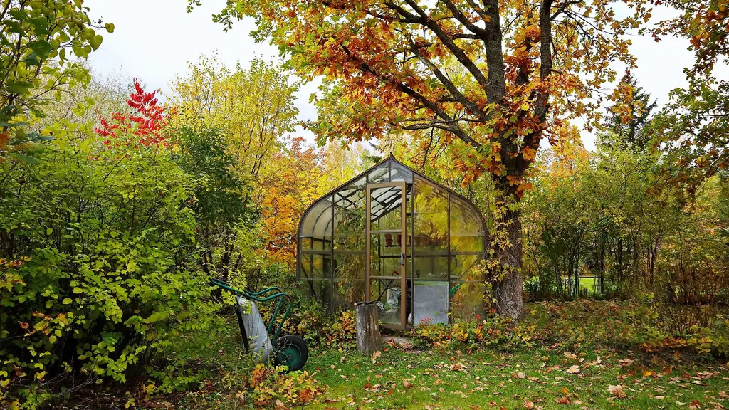 Why you can’t ignore your lawn in October: 7 tasks to complete this month