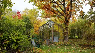  Why you can’t ignore your lawn in October: 7 tasks to complete this month 