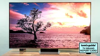  Hisense TV report card 2026: 'One of the best ways to maximize your dollar' 