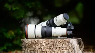  Sony’s new 400mm and 600mm super-telephoto primes make light work of a heavy hobby — here are my favorite wildlife photos I shot with the pair 