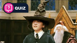  Which Hogwarts house does your tech say you belong in?  