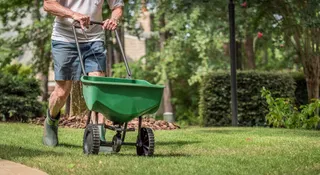  The secret to stopping weeds next spring — apply this simple barrier to your lawn right now 