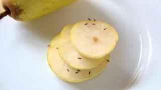  How to banish fruit flies with apple cider vinegar — and prevent them from coming back 