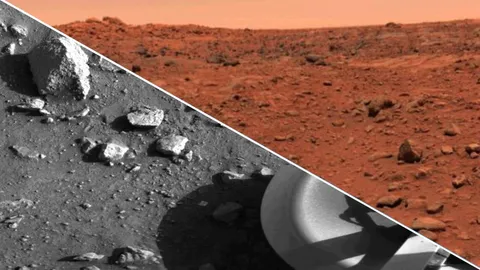  Humanity's first look at the surface of Mars shared on 50th anniversary of historic NASA landing — Space photo of the week 