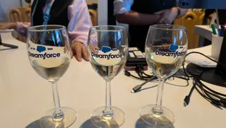  An AI agent tried to guess what wine I was drinking based on my description — and the results were mixed to say the least 