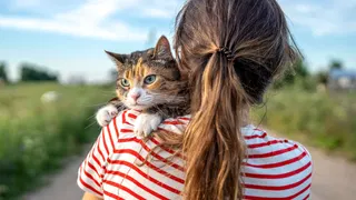  7 ChatGPT prompts you should try for International Cat Day to help you understand and celebrate your furry friend 