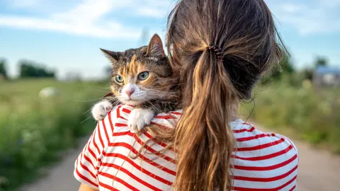  7 ChatGPT prompts you should try for International Cat Day to help you understand and celebrate your furry friend 