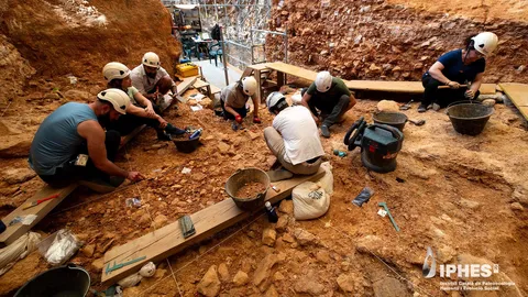  Ancient human relative cannibalized both adults and children in a cave in Spain 850,000 years ago, fossils reveal 