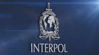  Interpol uses AI to identify 126 terrorists by analyzing over 100,000 images with new facial recognition tools 