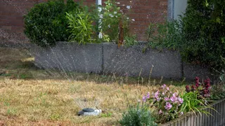  My lawn was completely fried after the heatwave — to save it I had to stop making these 3 mistakes 
