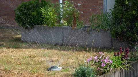  My lawn was completely fried after the heatwave — to save it I had to stop making these 3 mistakes 