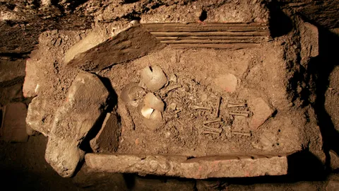  1,200-year-old infant burial found near famous Temple of Artemis in Turkey contains twins — one with an unusual extra rib 