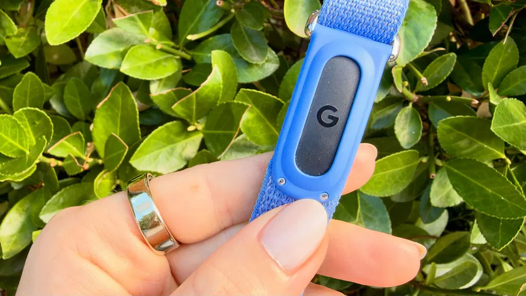 Fitbit Air vs Oura Ring 5 — from counting calories and steps to tracking sleep and stress, which screenless tracker should you buy?