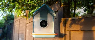  Bird Buddy 2 Review: my six months with the solar powered smart feeder camera 