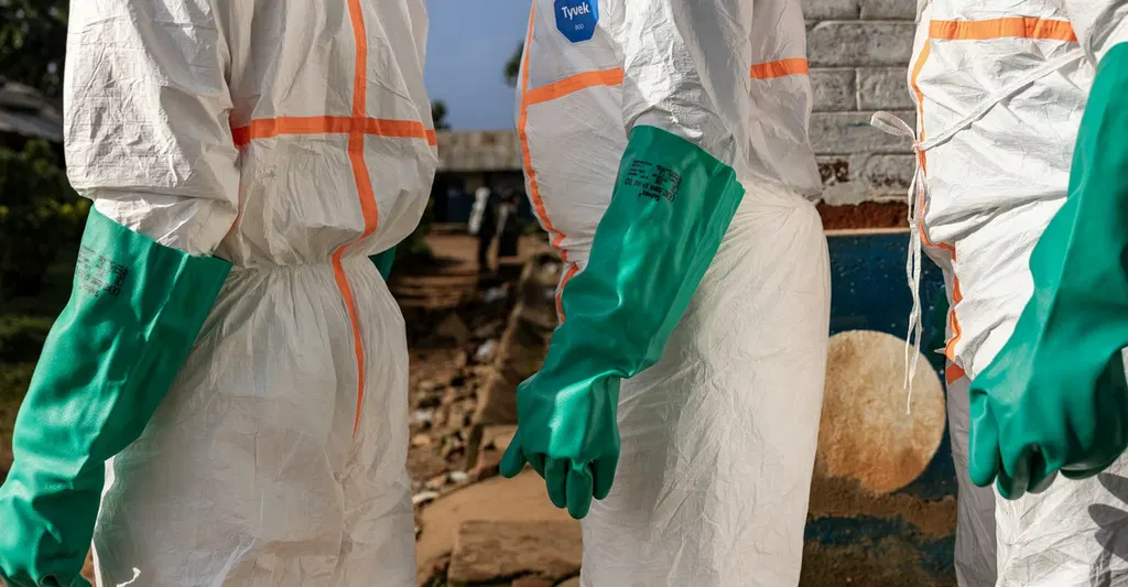 How to Contain the Ebola Outbreak