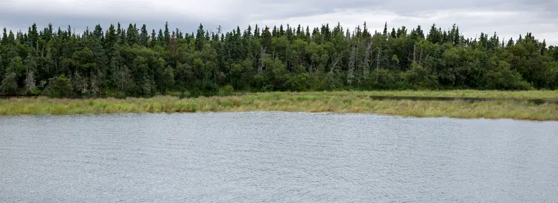 Eight Dead After Plane Crashes In Remote Part Of Alaska