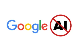 Google Search on Firefox Without AI