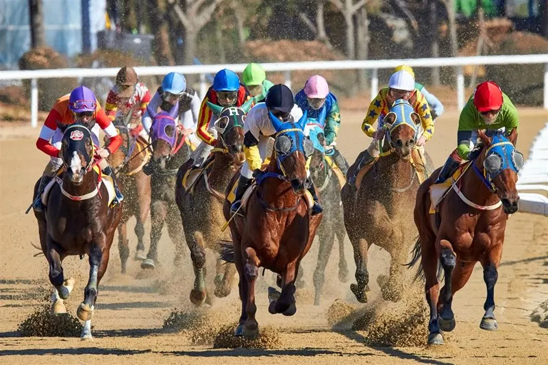 Best of the best clash in race of the season