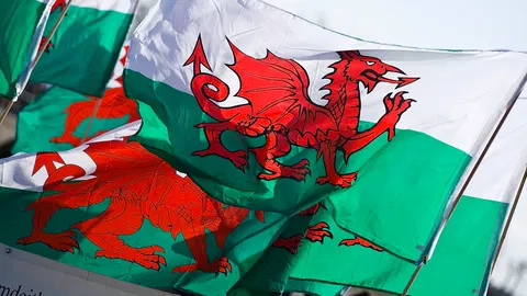 Calum Davies: What went wrong for the Welsh Conservatives?