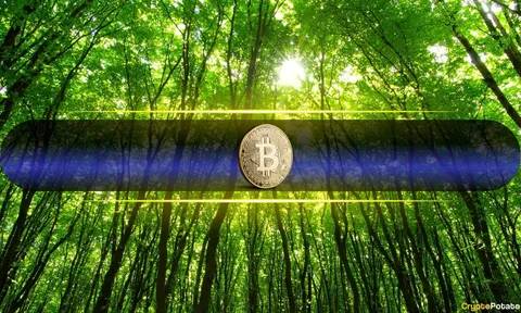 Strive Buys Another 79 BTC, Bringing total to 20,000
