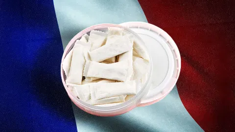 France Is Banning Zyn and Threatening To Jail People for 5 Years