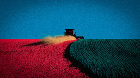 Trump's Trade War Caused a $15 Billion Decline in U.S. Farm Sales to China