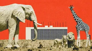 Nashville Considers Using Eminent Domain To Stop a Planned Data Center From Irritating Zoo Animals