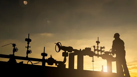Argentina’s Oil Production Soars as Vaca Muerta Breaks New Records