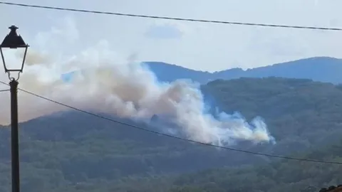 Estabilizado el incendio forestal declarado en Cuacos de Yuste