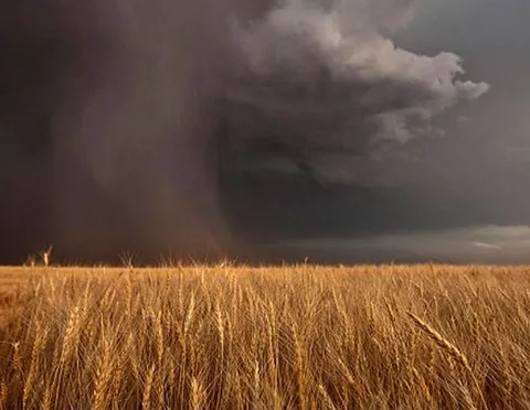 Estratégias do Paraná para enfrentar os desafios do El Niño