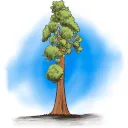 Replace GnuPG with Sequoia-PGP (& Actively Warn Against GnuPG)