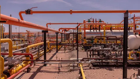 Vista Energy joins Milei's RIGI investment incentive scheme