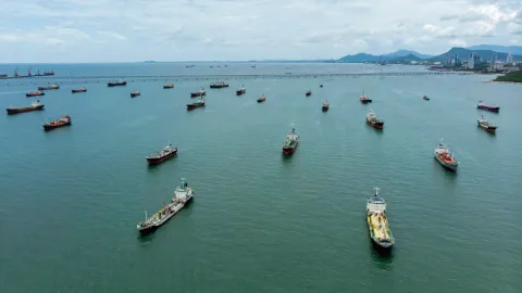Ships Stuck in the Strait of Hormuz Could Cause an ‘Invasive Superspreader Event’